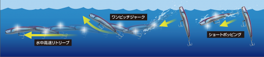Motif d'animation et de nage du Dixon.