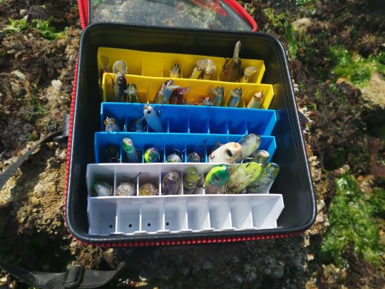 Les rangées plastique de différentes couleurs permettant un classement de vos leurres par genre.