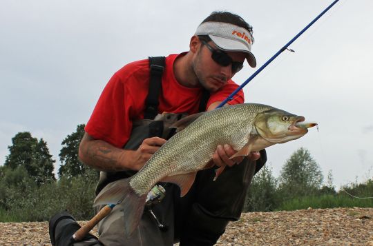 Le water monitor d'Illex, le stick de référence pour pêcher l'aspe en Loire !