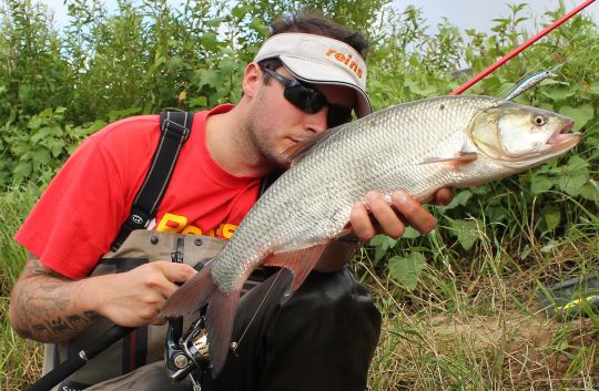 Les leurres de la marque Zip Baits, des bons leurres à aspes, qui tiennent bien le courant.