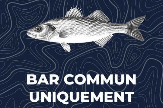 Une compétition en kayak dédiée exclusivement à la pêche du bar commun (Dicentrarchus Labrax).