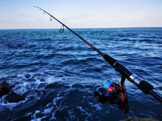 La canne Daiwa Saltist 742, d'une puissance de 7-35g est un produit parfaitement adapté à la pêche du bord.