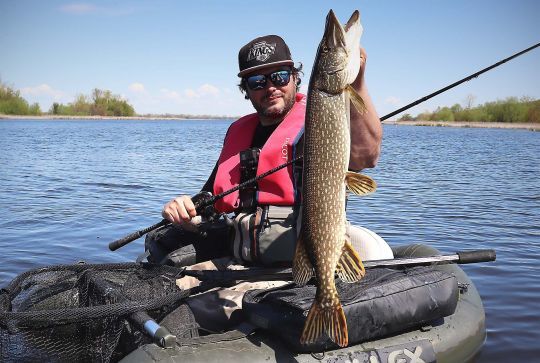 Brochet capturé dans une baie peu profonde, au milieu de nénuphars.