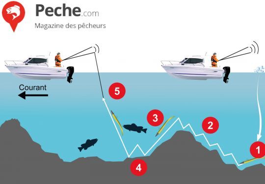 Schéma d'animation de la pêche à gratter