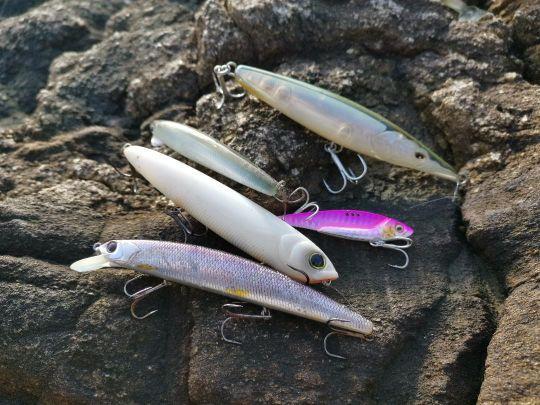 Votre boîte de leurres doit vous permettre de prospecter toutes les profondeurs.