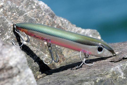 En eau claire et avec de la lumière les coloris imitatifs sont une bonne base de départ.