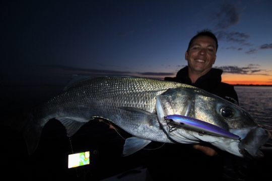 Les poissons nageurs sont efficaces sur les poissons de toute taille !