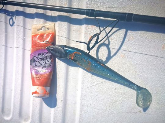 Un Nitro Shad 180 d'Illex en coloris sardine monté sur une tête en 120 grammes et le combo que j'emploie régulièrement pour traquer le st pierre sur la zone de la pointe bretonne.