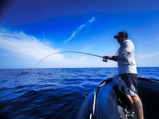Question combat, le saint-pierre n'est pas le poisson le plus puissant qu'il existe, loin de là !