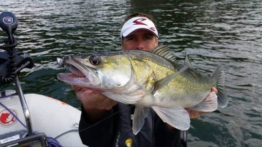Les pêches plus lentes à gratter permettent de séduire des poissons peu actifs.