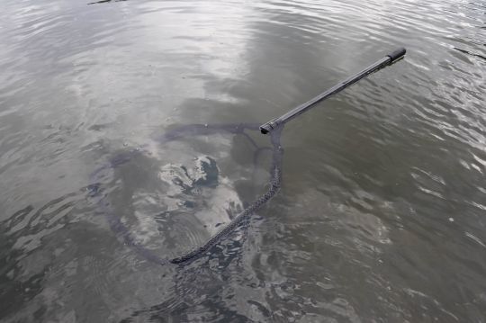 Une épuisette flottante est facile à récupérer si on l'échappe.