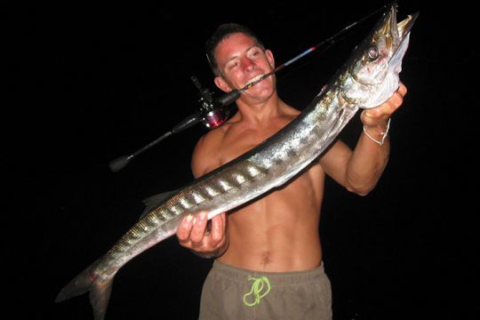 Le barracuda est plus actif la nuit