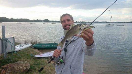 Mon tout premier bar, pris avec un shad impact promené lentement dans les trouées de goémon.