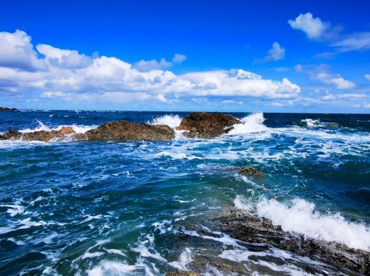 Lorsque l'on pêche du bord ou en bateau on ne pêche pas forcément les mêmes spots ou avec une approche différente.