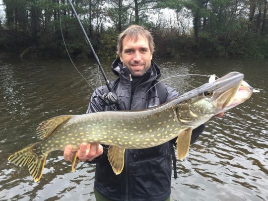 Le brochet, le roi incontesté des pêches automnales