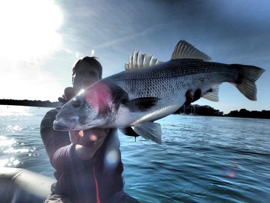 Octobre et novembre sont des mois propices à la capture de gros poissons.