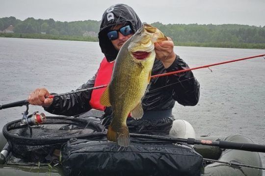 Achigan à grande bouche du Québec (black bass).