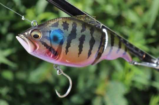Vatalion 115F de Megabass.