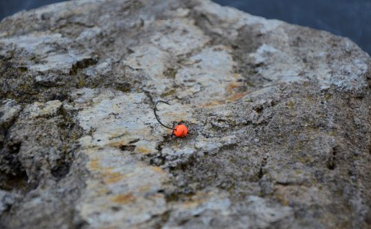 Une tête plombée de couleurs vives