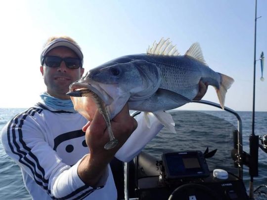 La pêche en crancking est une technique simple et à la portée de tous.