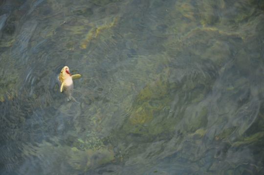 Sur de petites rivières