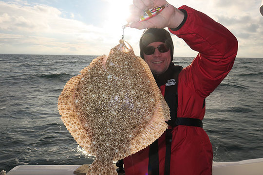 Gros turbot pris au jig