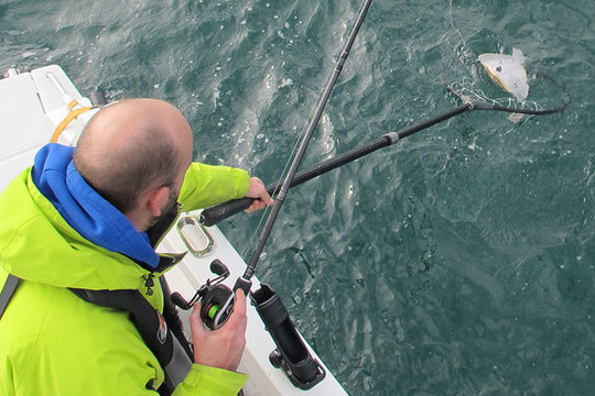 Mise au sec d'un turbot