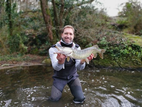 Quand un poisson a peur de perdre une proie, il hésite beaucoup moins à l'attaquer.