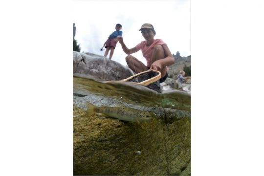 photo mi-air mi-eau d'une truite en torrent - Morgan Calu