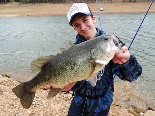 Un gros black-bass