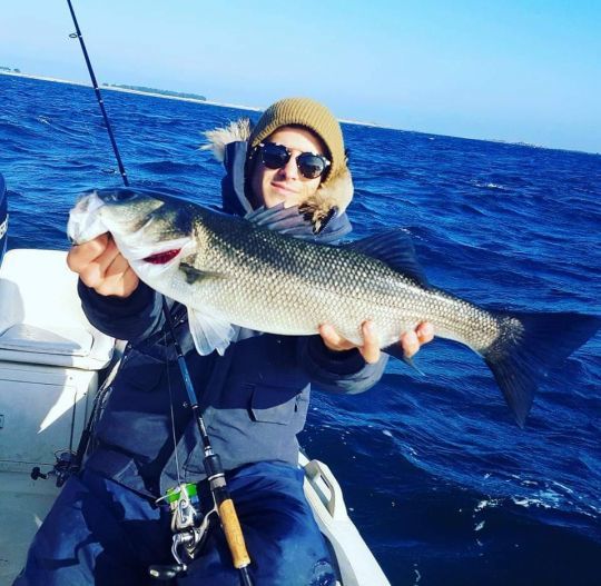 Les poissons prédateurs qu'ils soient d'eau douce ou salée réagissent aux mêmes instincts et selon une même logique.