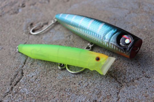Les poppers, un leurre de surface efficace sur les peacock bass.