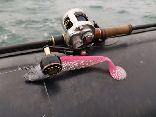 Avec son profil plat et son gros paddle, le Shaker est atypique dans la famille des shads.