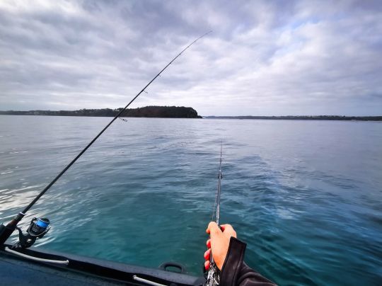 Certains jours les animations minimalistes sont payantes. Dans ce cas, laissez le bateau faire le travail sans animer les leurres.
