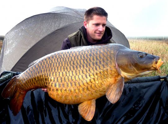 Des poissons dont l'éclat n'a d'égal que le côté atypique de ces lieux devenus insolites