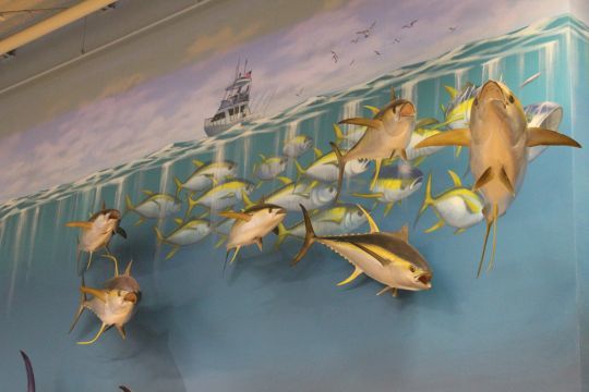 Bass pro shop de Miami, Floride.