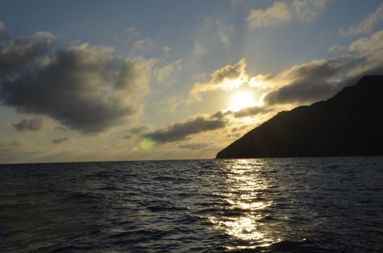 Quand la luminosité baisse, les barracudas s'activent