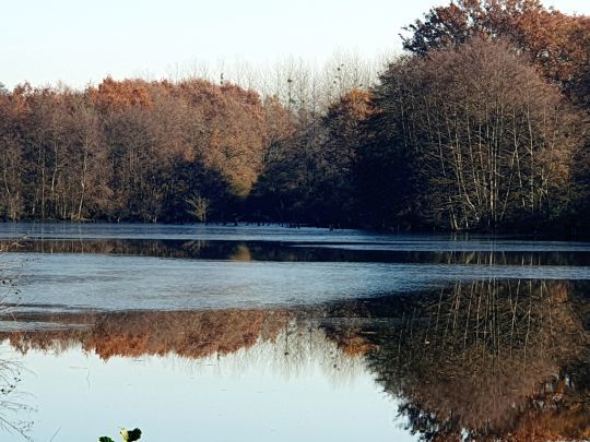 Bien observer pour espérer que certaines carpes se laissent trahir : le gros de la troupe n'est peut-être pas loin...