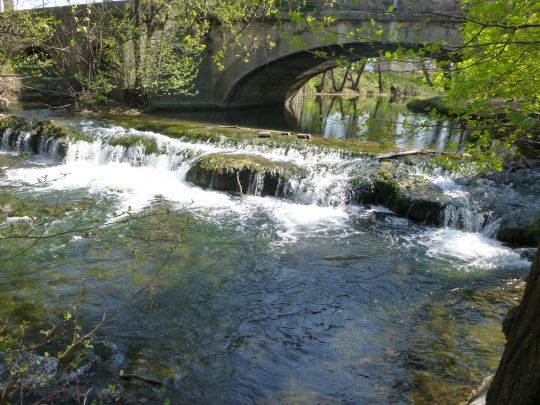 Un poisson commun sur nos rivières