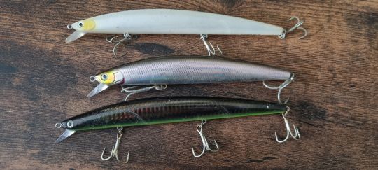 Des longbill minnow jerkbait, parfaits pour imiter un petit barracuda