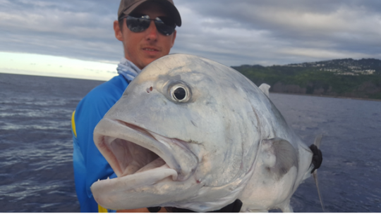 La possibilité de toucher de beaux poissons