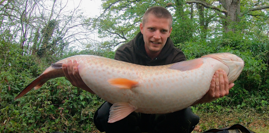 Poisson « exotique » sans sortir de l'hexagone.