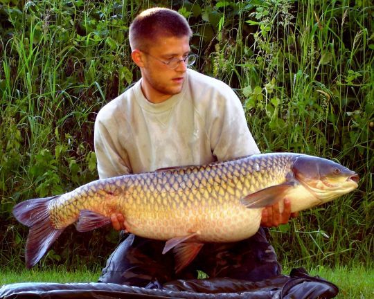 Photo datant de plus de 10 ans mais illustrant parfaitement la robe dorée que certains sujets peuvent avoir. Il fait partie de ces poissons qui marquent une vie de pêcheur !