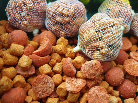 Les bouillettes fruitées comme la Peach and Mango de chez Starbaits ne sont pas à négliger, loin de là !
