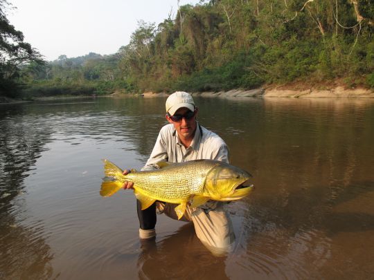 Le dorado, un poisson passionnant
