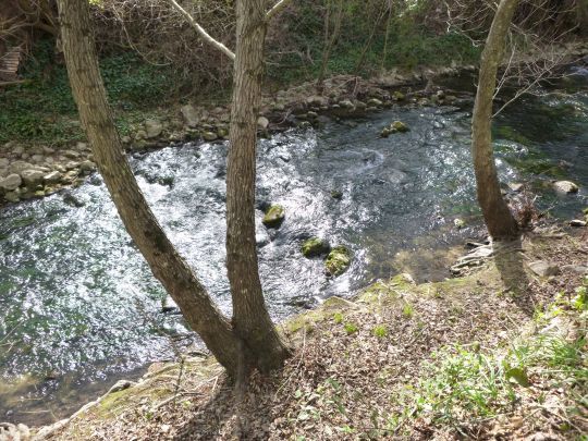 Des eaux oxygénées