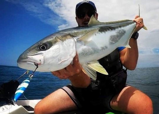 Pour la pêche des pélagiques