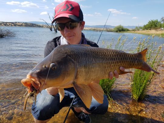 Un magnifique poisson à l'écrevisse sur un jig