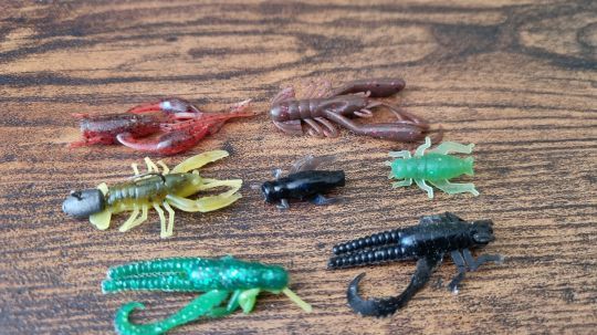 Une sélection d'imitations d'insecte et d'écrevisse