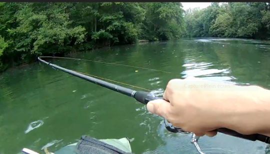 Le choix des anneaux dépend de vos besoins et notamment de la puissance de votre canne et du poisson recherché.